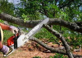 Best Emergency Tree Removal  in Ledbetter, KY